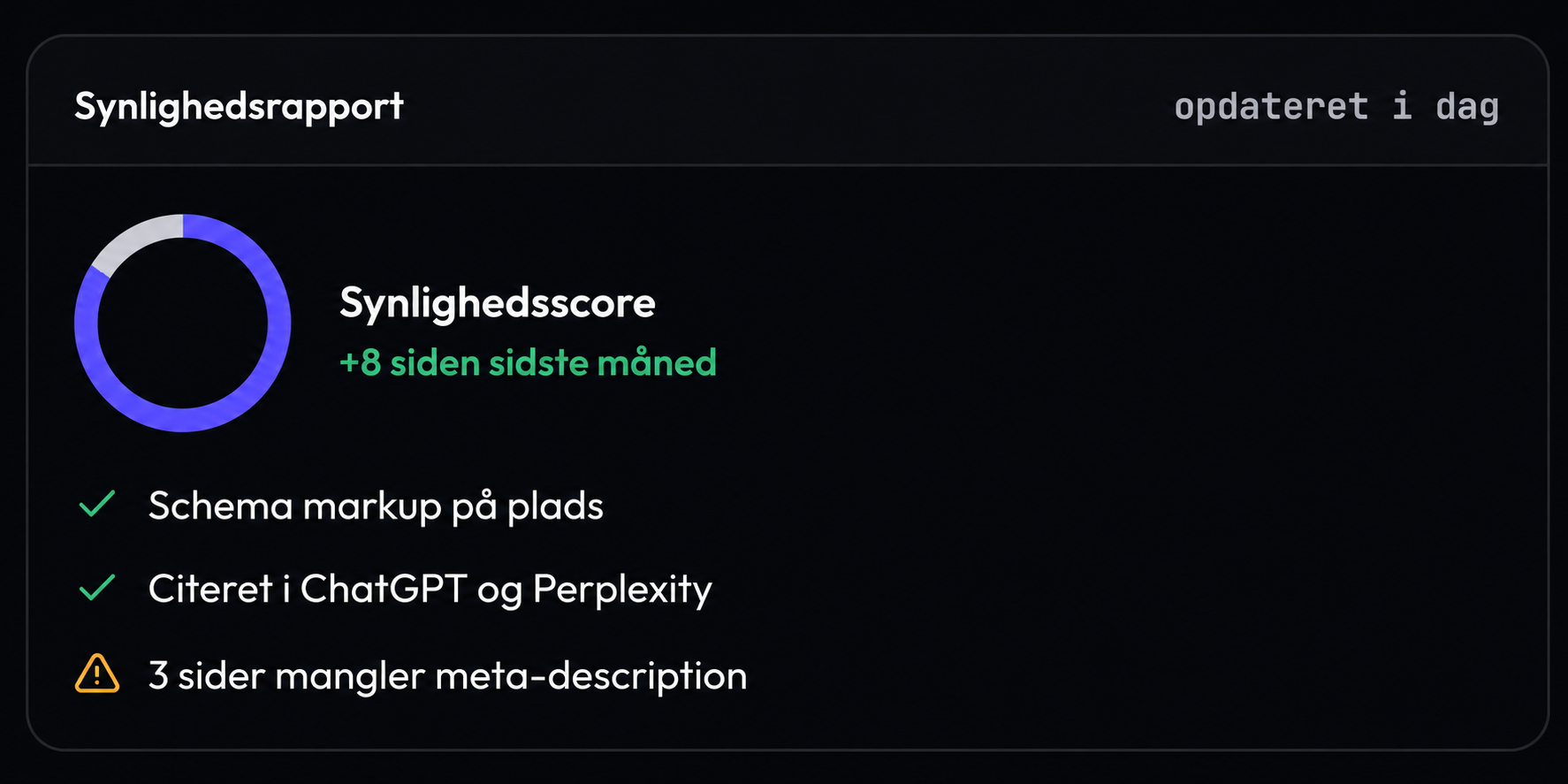 Seora synlighedsrapport med score og anbefalinger